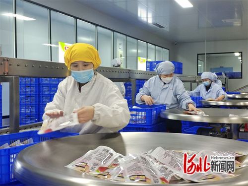 河北邱縣 新春開(kāi)工忙