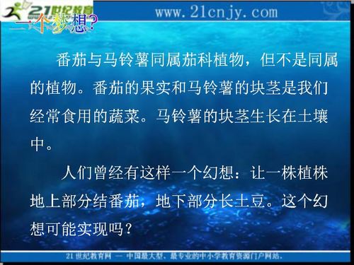 2010生物高考復(fù)習(xí) 生物科技 專題系列課件07 植物細(xì)胞工程