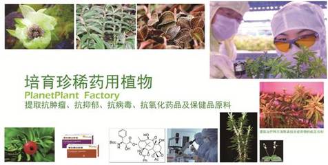 【招聘】中科生物招聘進(jìn)行時!再不來好工作都讓人搶走啦~