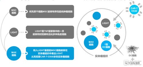 中國(guó)生物科技服務(wù) 8037.hk 自主創(chuàng)新car t療法的明日之星